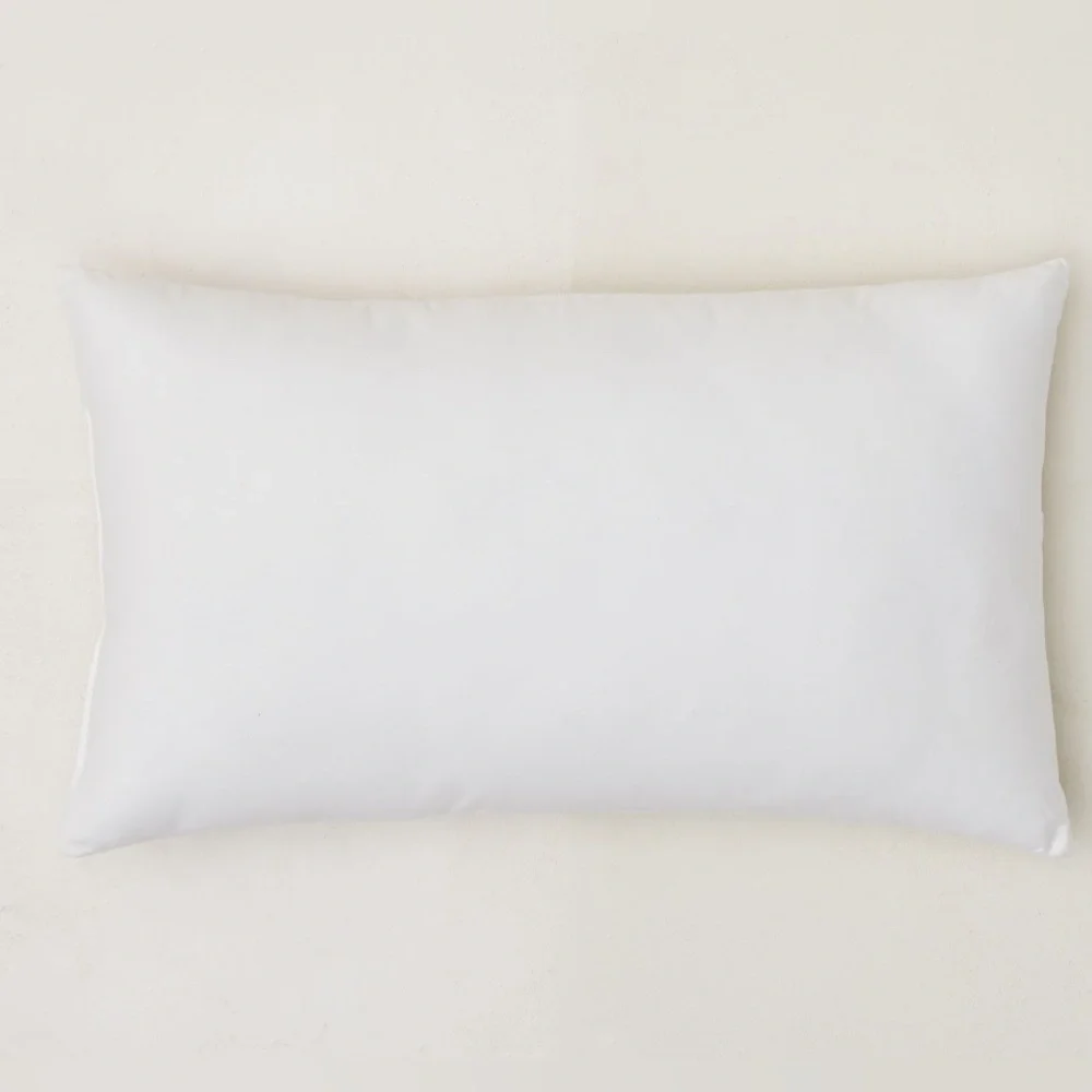 West Elm Cotton FEATHER pillow insert 12